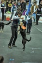 Trained dogs perform at the show with trainers