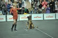 Trained dogs perform at the show with trainers