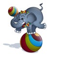 A trained elephant in a colorful collar stands, balancing, on a multi-colored striped ball and holds a bright ball on the trunk. Royalty Free Stock Photo