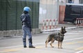 Trained police dog during surveillance along the streets of the