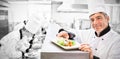 Trainees preparing dishes by head chef with salmon dish on counter Royalty Free Stock Photo