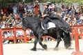 A trainer dressed as medieval lady demonstrates horse skills