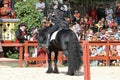 A trainer dressed as medieval lady demonstrates horse skills