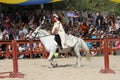 A trainer dressed as medieval lady demonstrates horse skills