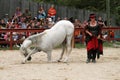 Trainer dressed as medieval lady demonstrates horse skills