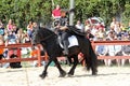 A trainer dressed as medieval lady demonstrates horse skills