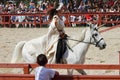 A trainer dressed as medieval lady demonstrates horse skills