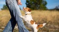 Trainer giving treat to her small dog, pet or puppy training banner Royalty Free Stock Photo