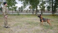 A trainer and his trained german shepherd dog standing opposite each other Royalty Free Stock Photo