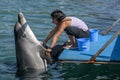 A trainer interacts with the dolphins she cares for in the harbour at Kas in Turkey.