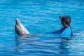 Trainer playing with a dolphin in the pool