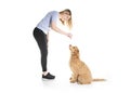 Trainer woman with his Golden Labradoodle dog isolated on white background Royalty Free Stock Photo