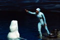 Beluga Whale Trainer Royalty Free Stock Photo