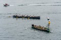 Trainera rowing boat regatta in the bay of La Concha in San Sebastian