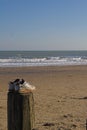 Trainers on groyne overlooking sea Royalty Free Stock Photo