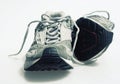 Trainers Sneakers Isolated Royalty Free Stock Photo