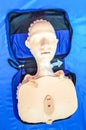 The training of basic life support resuscitation and CPR knowled Royalty Free Stock Photo