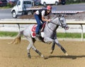 Racehorse Workouts at Belmont Park