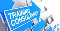 Training Consultancy - Label on Blue Pointer. 3D.