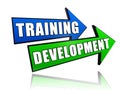 Training development in arrows