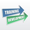 Training development in arrows, flat design