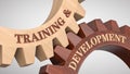 Training & development concept