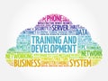 Training and Development word cloud Royalty Free Stock Photo