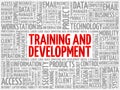 Training and development word cloud Royalty Free Stock Photo
