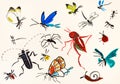 Various insects hand painted on colored paper