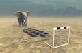 Elephant in front of training tire