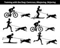 Training Exercising with dog: canicross, bikejoring, skijoring silhouettes Royalty Free Stock Photo