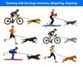 Training Exercising with dog: canicross, bikejoring, skijoring Royalty Free Stock Photo