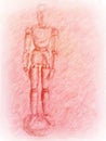 Detailed Sketch of the Wooden Human Figure Model