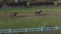 Training hobby during the holidays. Horseback riding at the farm, equestrian club. A young family rides horses. Riding Royalty Free Stock Photo