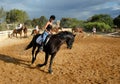 Training of horse competition