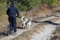 Training of Husky without snow with special bike instead of sleigh rides