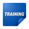 Training icon button blue square shape with white text Royalty Free Stock Photo