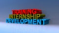 Training internship development on blue