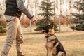 Training of a junior german shepherd dog