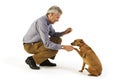 Training obedience Royalty Free Stock Photo