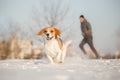 Training outside in cold snowy weather with beagle dog.