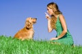 training pet dog Royalty Free Stock Photo