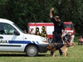 Training a police dog Royalty Free Stock Photo