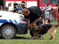 Training a police dog