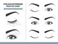 Training Poster, Practice Chart. Density of Eyelash Extension for Great Look. Eyelash Extension Guide. Infographic Vector Royalty Free Stock Photo