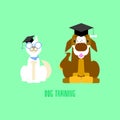 The training school white siberian husky dog with glasses and saint bernard with mortar board in green background