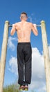 Training workout pullups