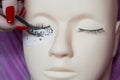 Training a young master to build eyelashes on a silicone mannequin. Work with tweezers, volume shaping, correction, care and remov