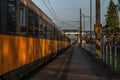 Trains in sunset color evening in Pardubice CZ 11 16 2024 Royalty Free Stock Photo