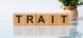 TRAIT message word on a wooden desk on cube blocks with a flower on background